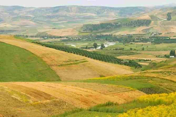 sebou Desert tour from Fez