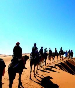 Sahara Desert camels tour