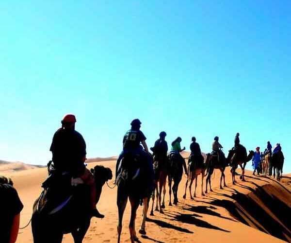 desert camels tour sahara from fez