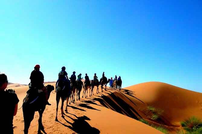 desert camels tour sahara from fez