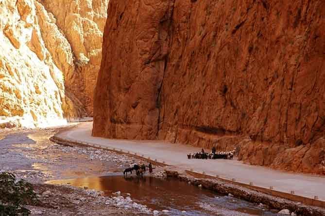 todra gorge road desert tour sahara from fez
