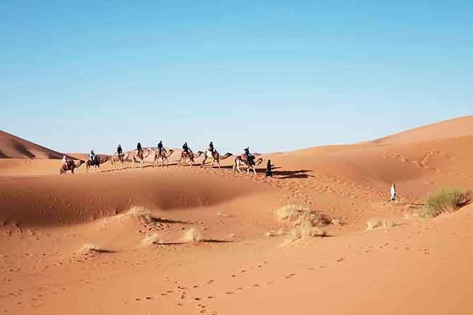 Desert tour Trekking camels 9 days 8 nights