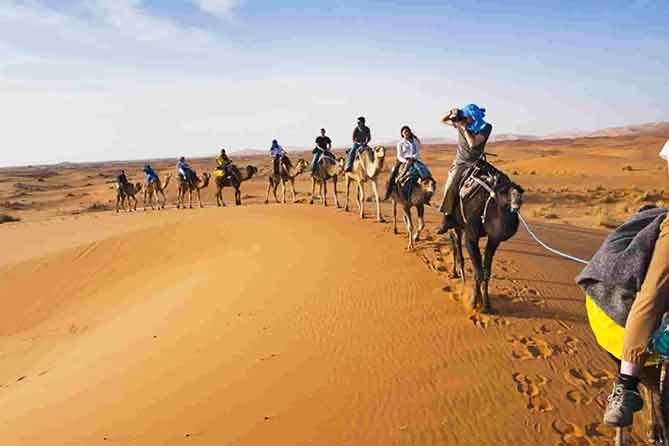 Desert tour Trekking camels 9 days 8 nights