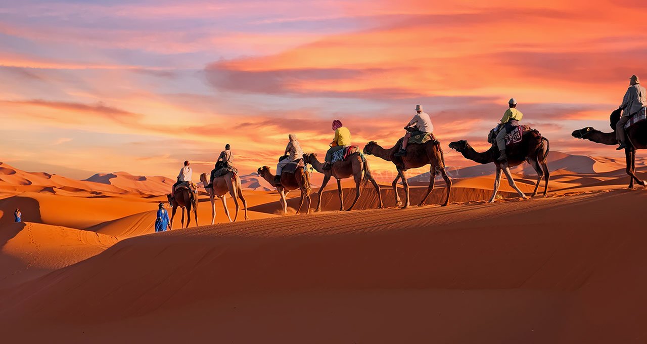 Sahara camels tour