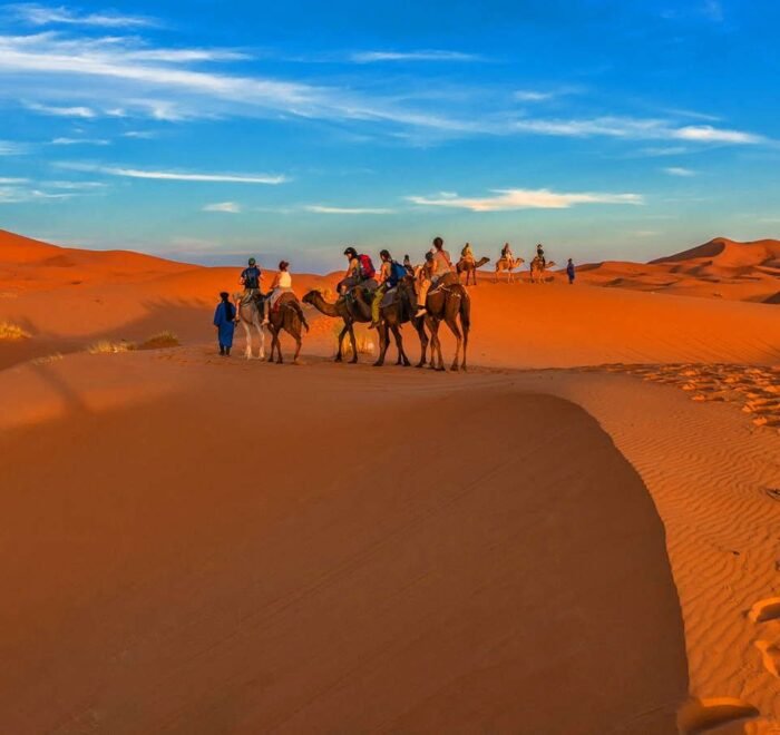 Camel trekking excursion in the Erg Chebbi dunes Sahara Desert