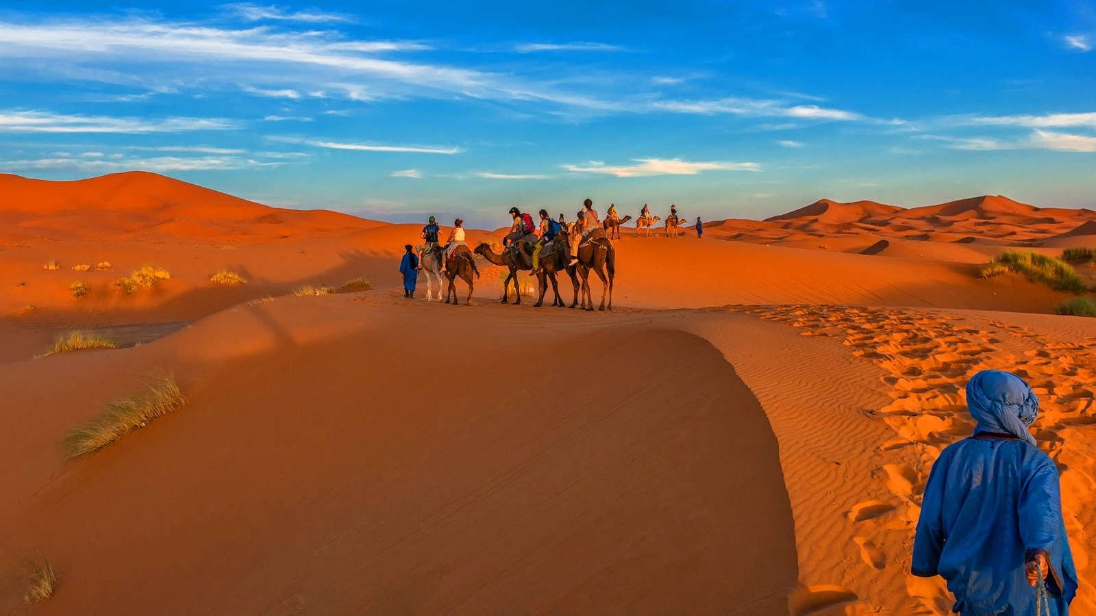 Camel trekking excursion in the Erg Chebbi dunes Sahara Desert